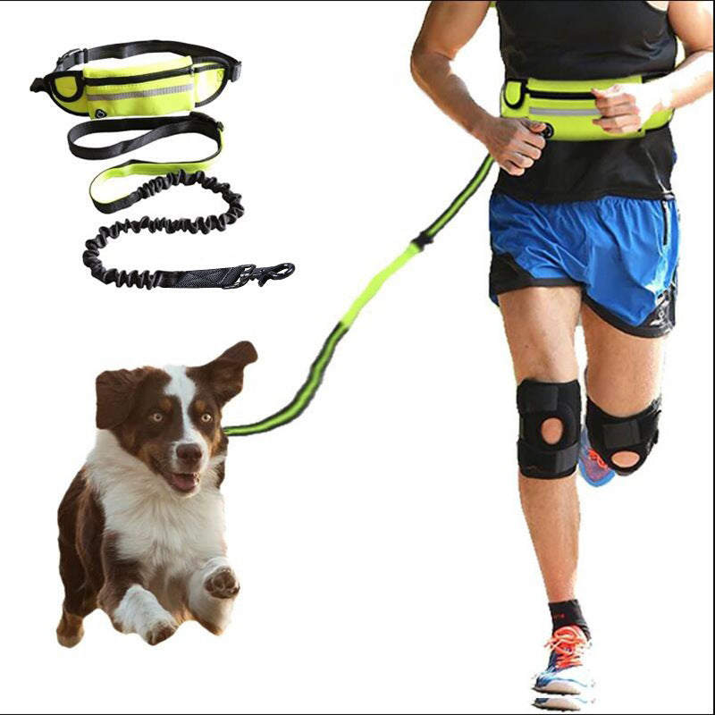 Hands-Free Dog Leash & Walking Belt – Shock-Absorbing Bungee with Phone Pocket & Water Bottle Holde