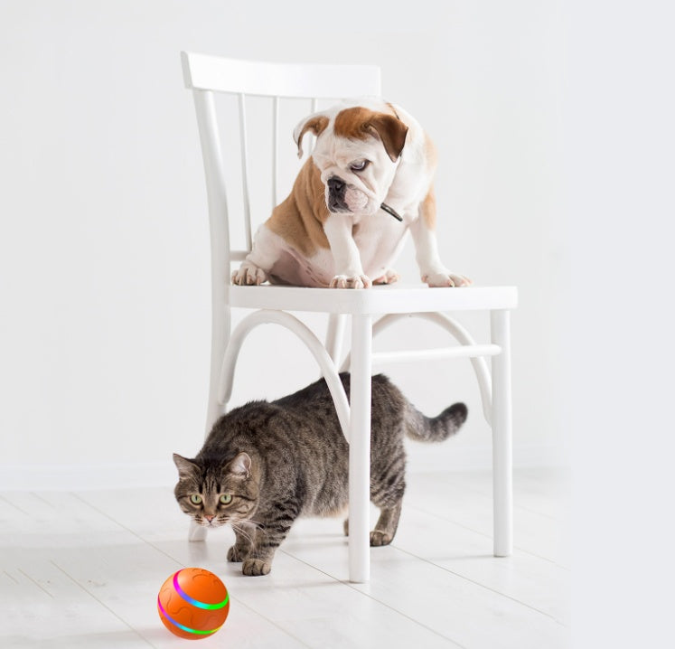 Automatic Self-Rotating Cat Ball Toy – Interactive USB Toy for Cats & Dogs