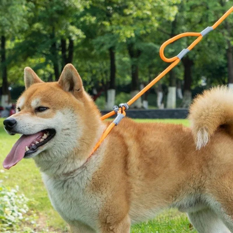 Dog Training Leash – 1.4m Nylon No-Pull Slip Chain with Double Handle for Small Dogs & Puppies”