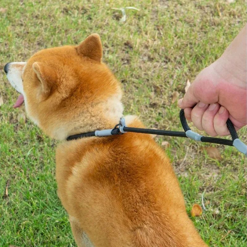 Dog Training Leash – 1.4m Nylon No-Pull Slip Chain with Double Handle for Small Dogs & Puppies”