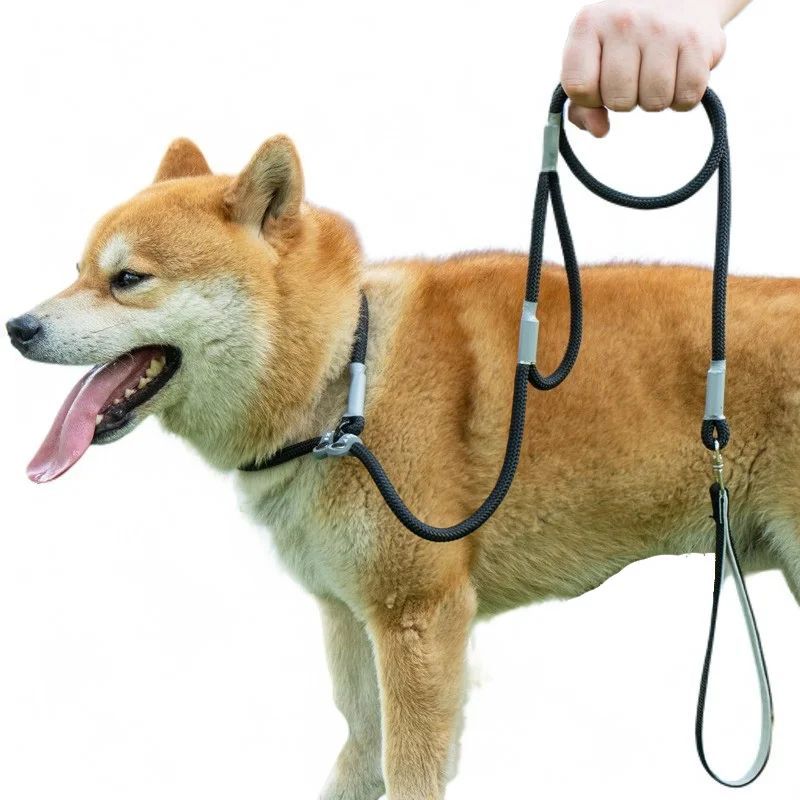 Dog Training Leash – 1.4m Nylon No-Pull Slip Chain with Double Handle for Small Dogs & Puppies”