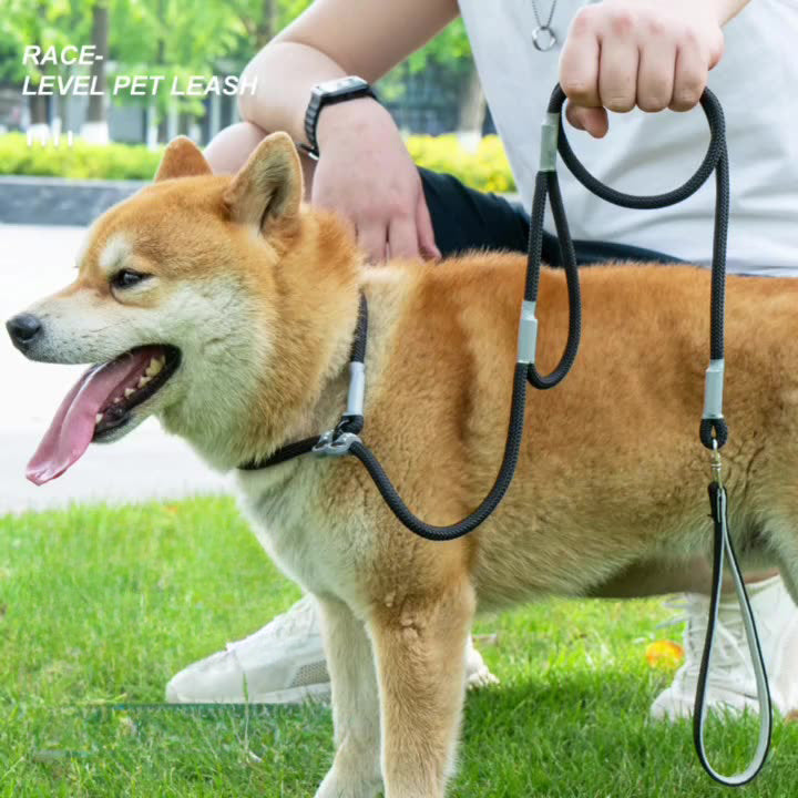 Dog Training Leash – 1.4m Nylon No-Pull Slip Chain with Double Handle for Small Dogs & Puppies”