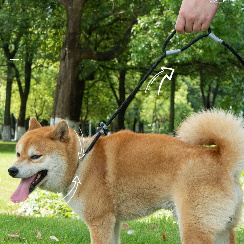 Dog Training Leash – 1.4m Nylon No-Pull Slip Chain with Double Handle for Small Dogs & Puppies”